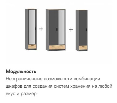 Шкаф для одежды Оттавия НМ 011.20 с зеркалом, антрацит, дуб крафт золотой (универсальная сборка)